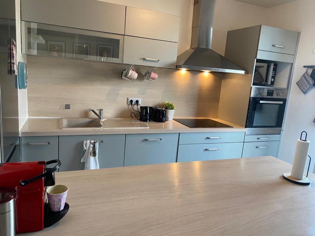 Appartement 80M2, Terrasse Sud, Metro 7 Direction Louvre A 8Minutes, Parking Sous-Sol, Proche Paris-Bercy Ivry-sur-Seine Eksteriør billede